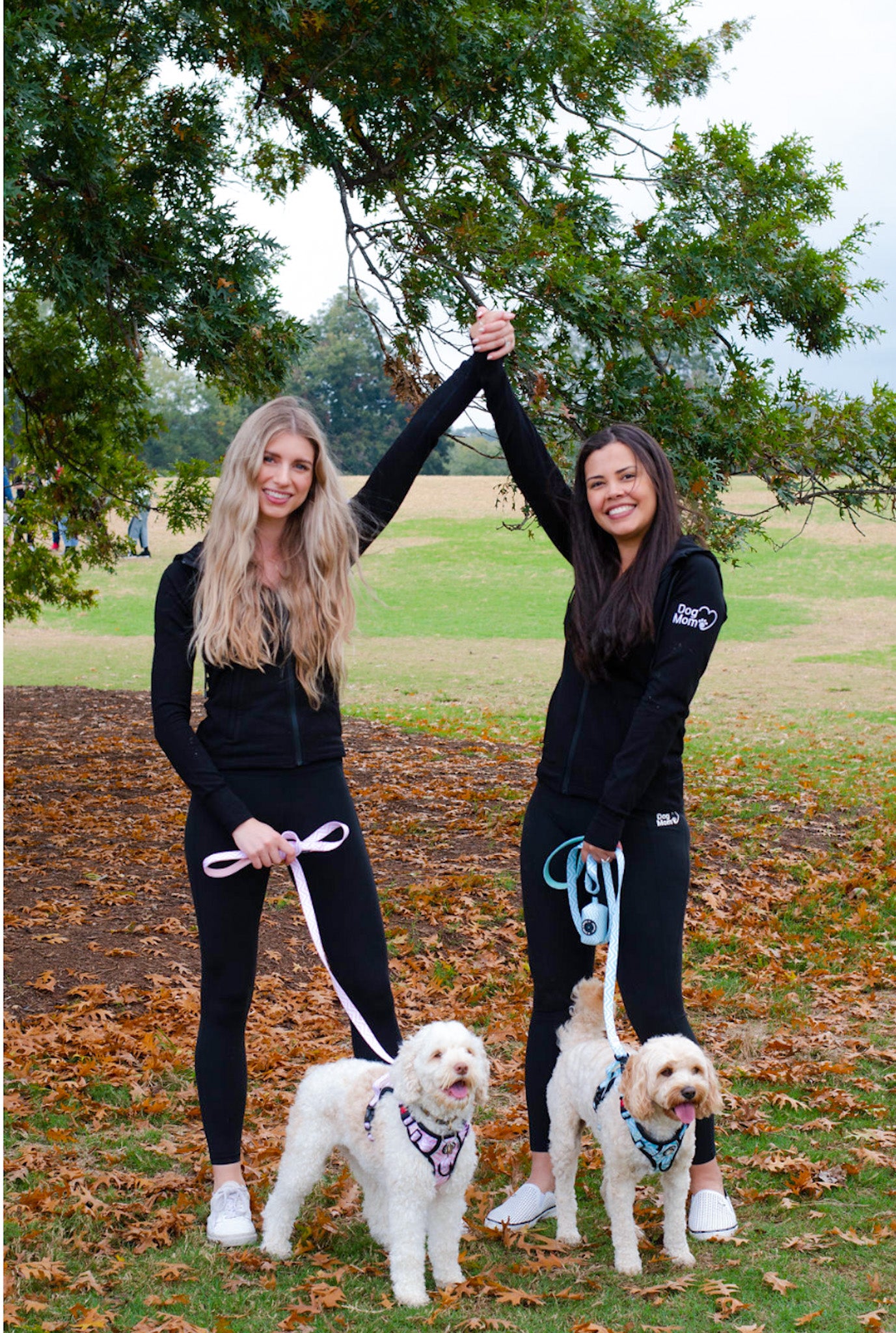 Why It s So Important To Walk Your Dog The Dog Mom Store why-it-s-so-important-to-walk-your-dog-the-dog-mom-store