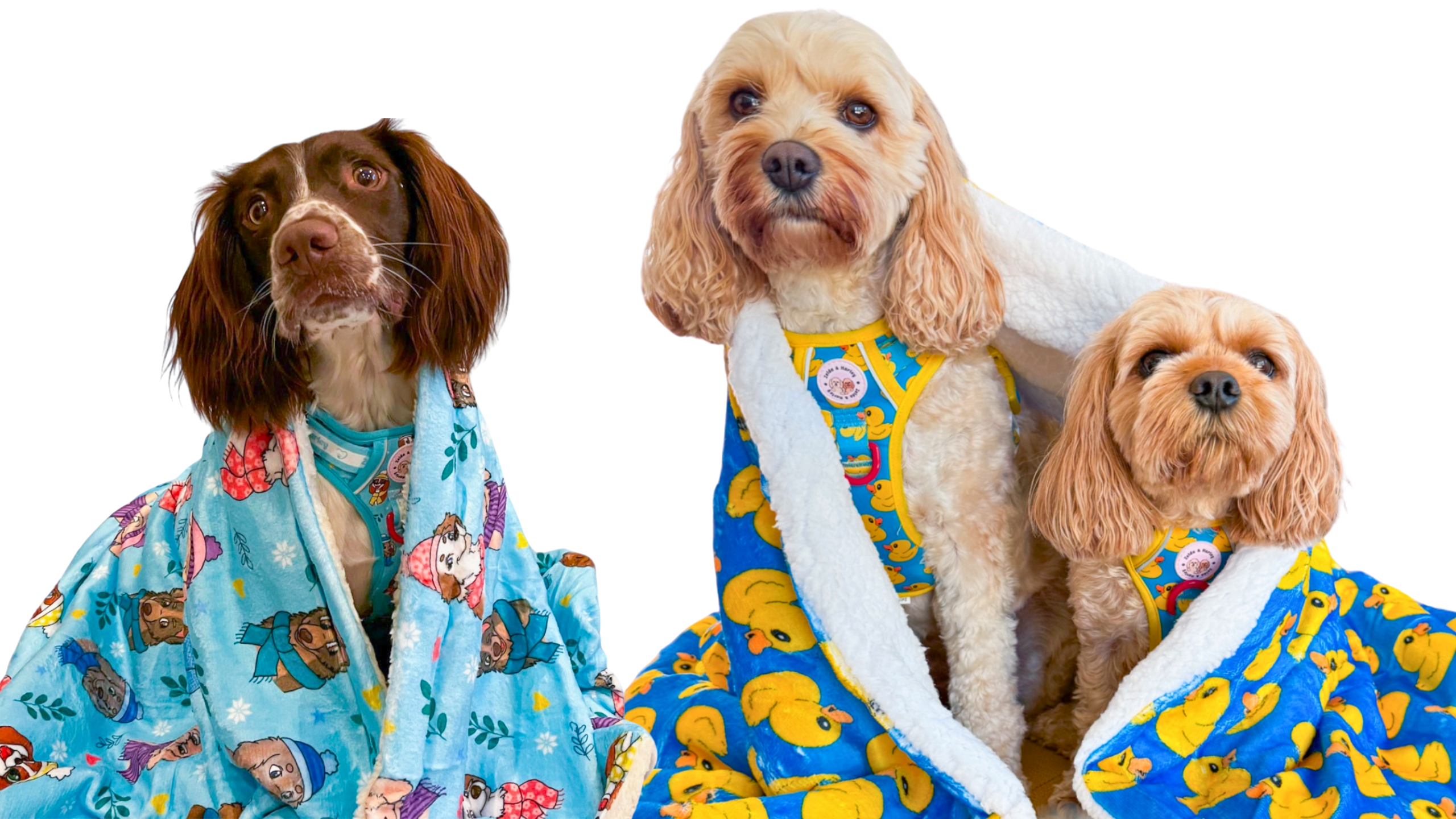 【VAULTROOM】DOG & DUCK BLANKET アウトドア寝具 VAULTROOM DOG & DUCK BLANKET Amazon.com: 2 in