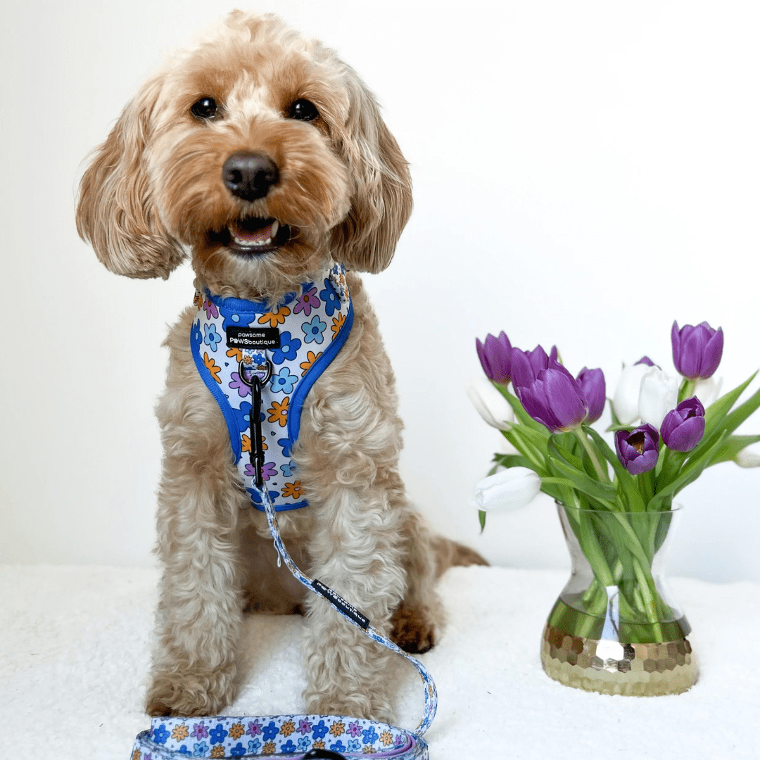 Pawsome Paws Boutique Harness Flower Bomb - No Pull Adjustable Dog Harness