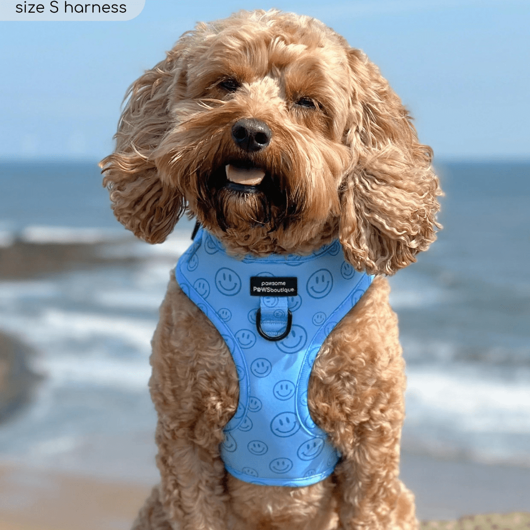 Pawsome Paws Boutique Harness No Blue Mood - No Pull Adjustable Dog Harness