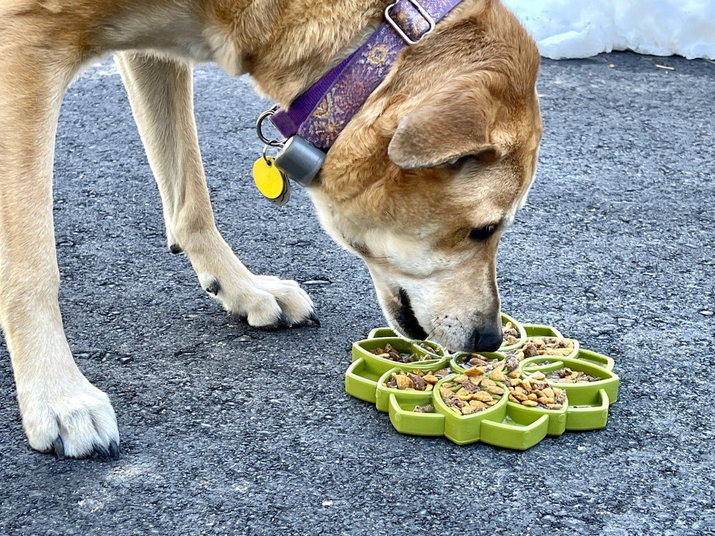 SodaPup Toys Mandala Design Etray Enrichment Tray For Dogs