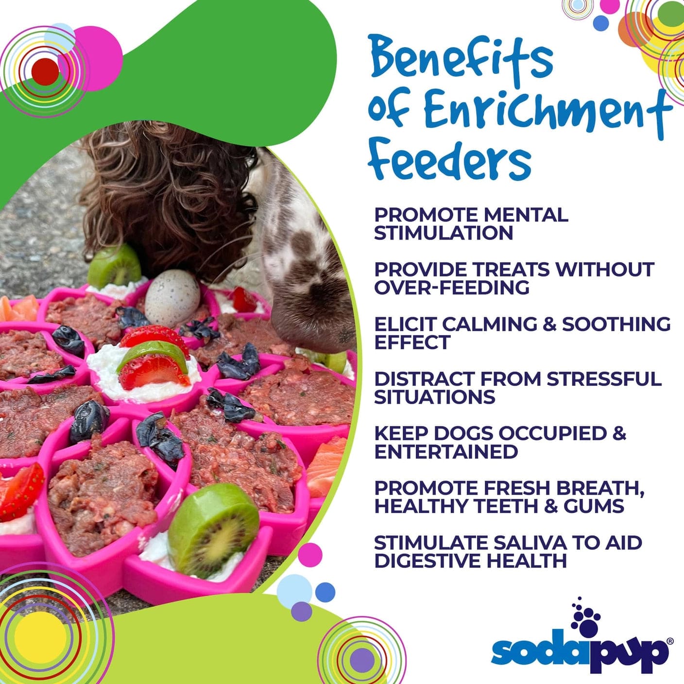 SodaPup Toys Mandala Design Etray Enrichment Tray For Dogs