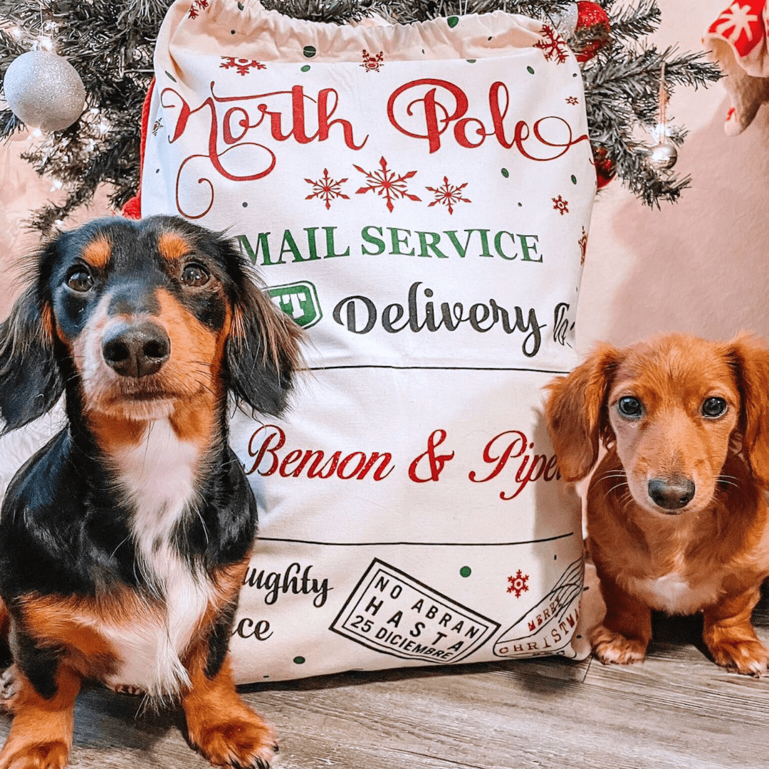 Zelda & Harley Apparel & Accessories Personalised Santa Sack