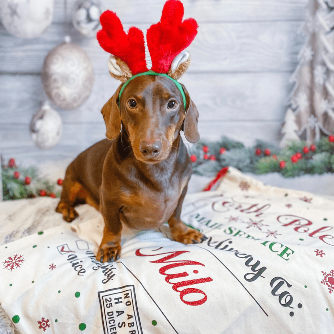Zelda & Harley Apparel & Accessories Personalised Santa Sack