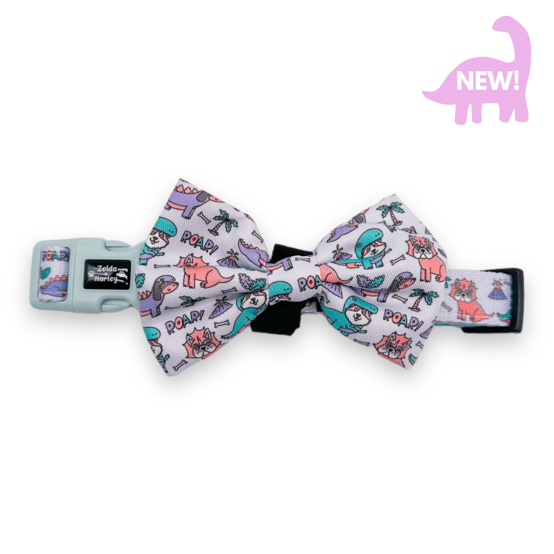 Zelda & Harley Collar Doggosaurus Rex Collar & Free Bow Tie