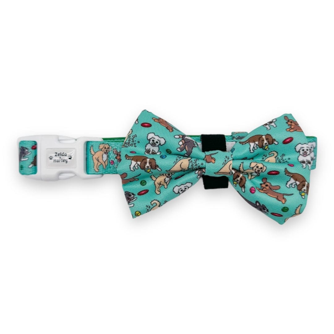 Zelda & Harley Collar Zoomies 2.0 Dog Collar & Free Bow Tie