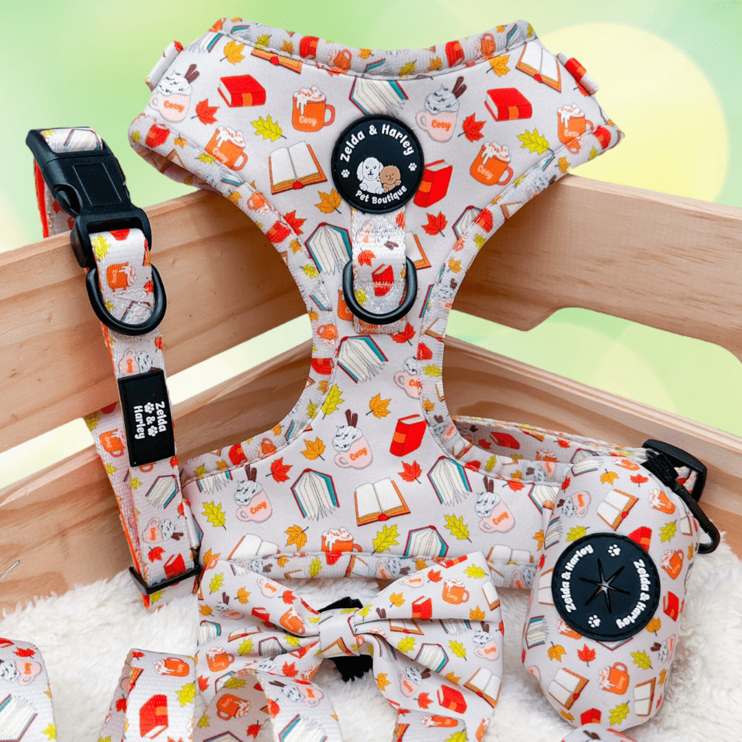 Zelda & Harley Harness Pawtumn Paws - No Pull Adjustable Dog Harness