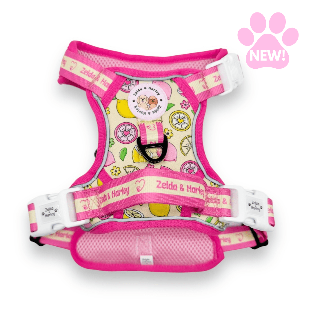 Pink Lemonade - Adventure No Pull Harness – The Dog Mom Store. Pink Lemonade - Adventure No Pull Harness – The Dog Mom Store.