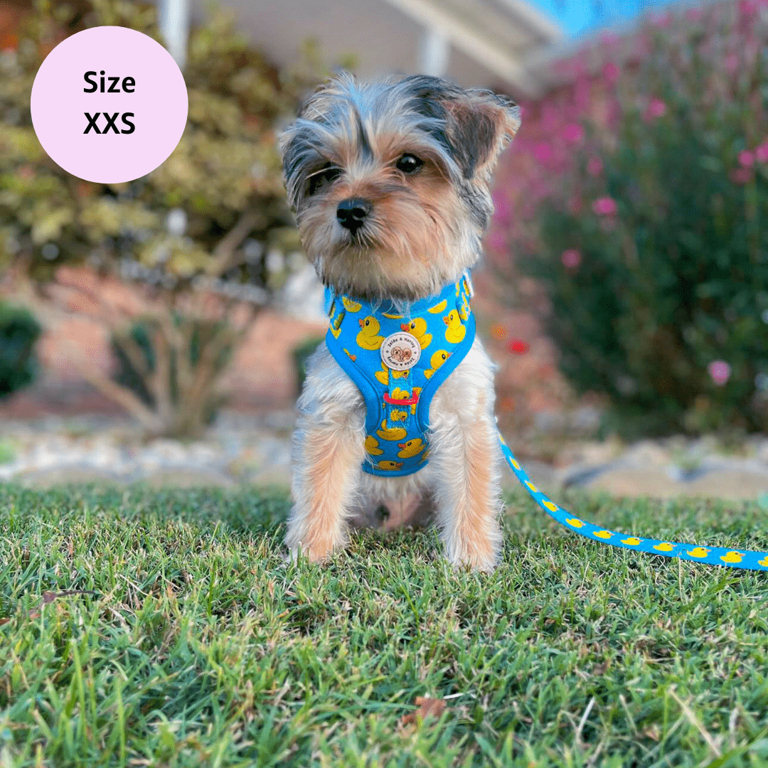 Zelda & Harley Harness Rubber Duckie Blue - No Pull Adjustable Dog Harness