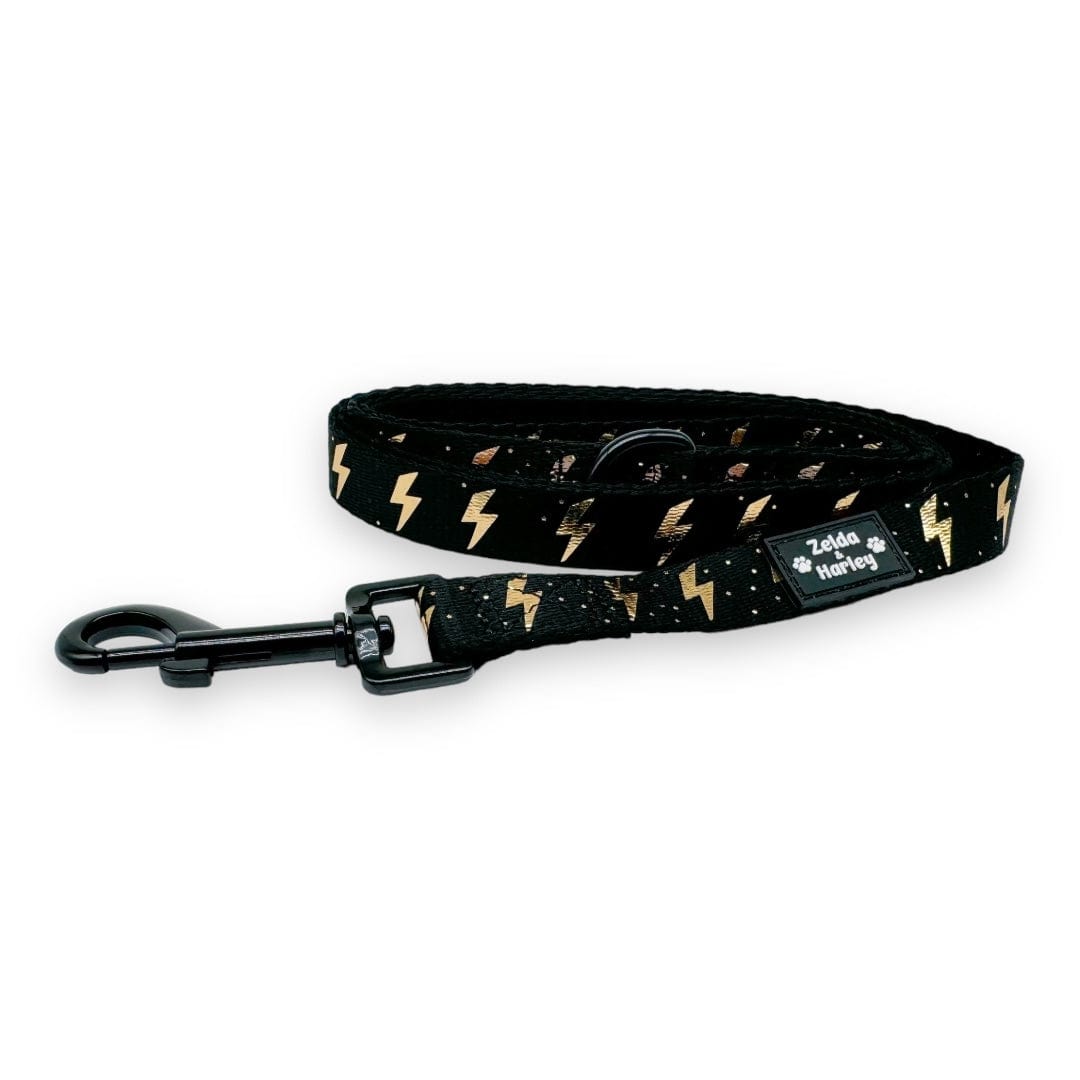 Zelda & Harley Lead ThunderPaws Leash