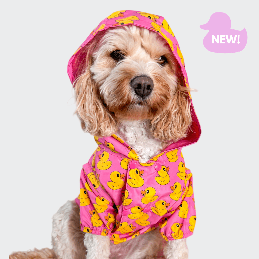 Rubber Duckie Reversible Dog Raincoat Pink