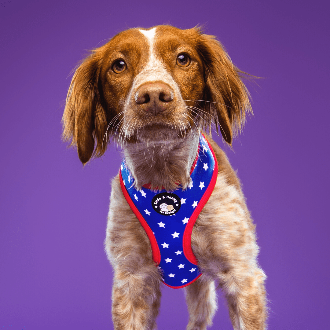 Zelda & Harley Reversible Harness Stars & Stripes - Reversible Dog Harness