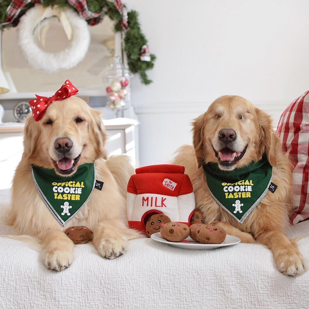 Zippy Paws Animals & Pet Supplies Holiday Burrow™ - Santa's Milk and Cookies
