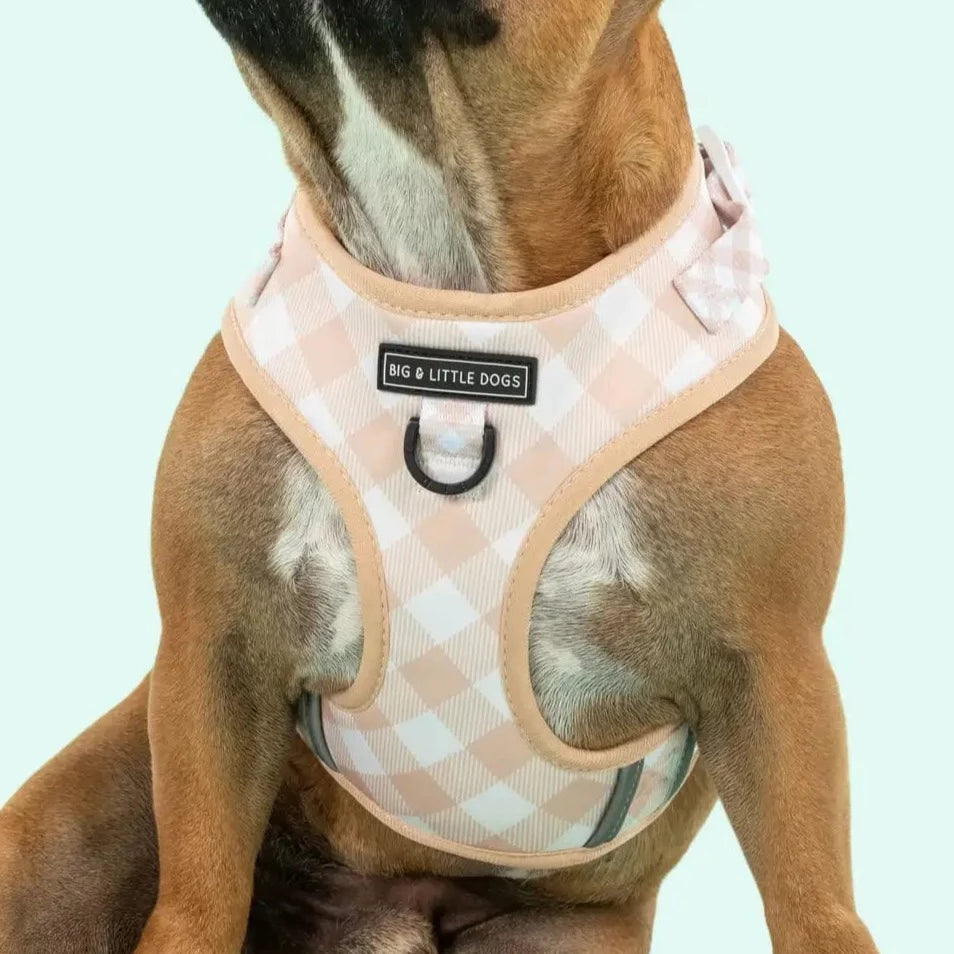 Big and Little Dogs Harness Latte Gingham - No Pull Adjustable Dog Harness