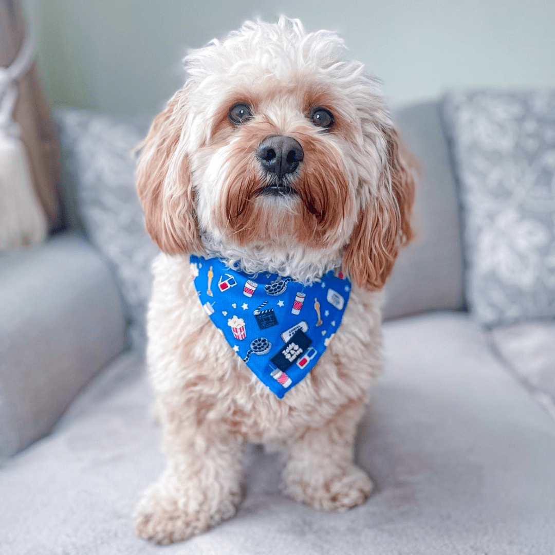 Zelda & Harley Bandanas Howl-lywood Bandana