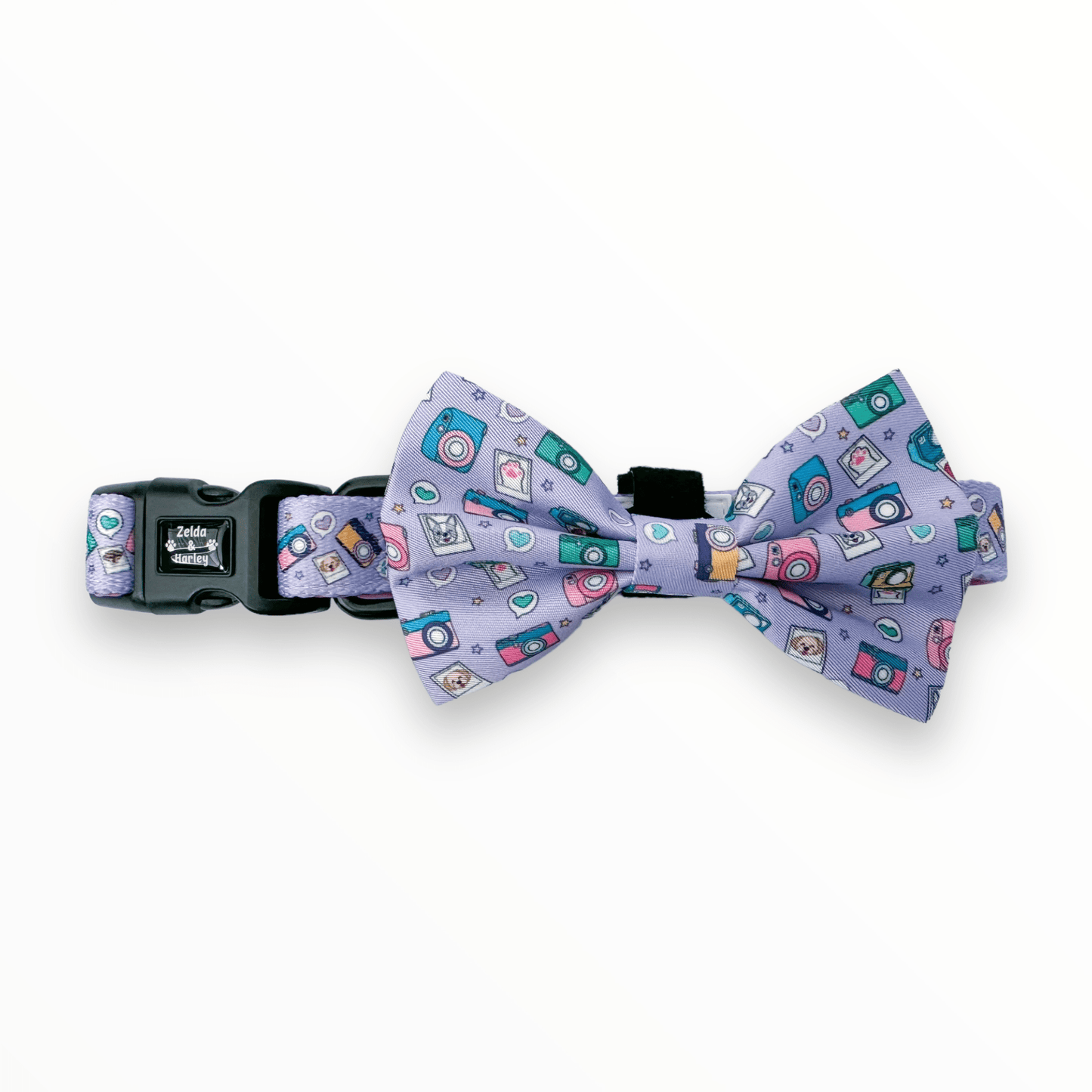 Zelda & Harley Collar Puparazzi Dog Collar & Free Bow Tie