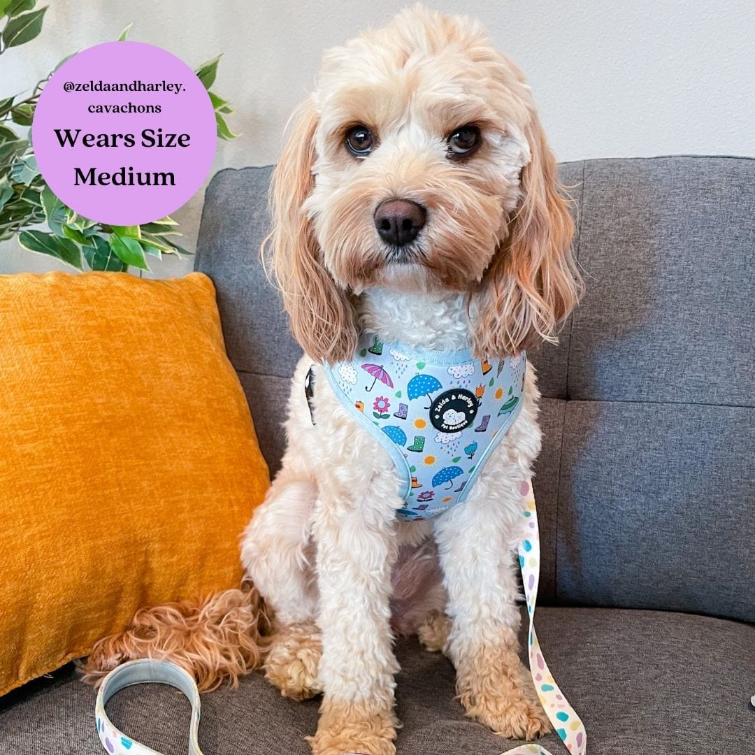 Zelda & Harley Harness Pastel Showers Reversible Harness