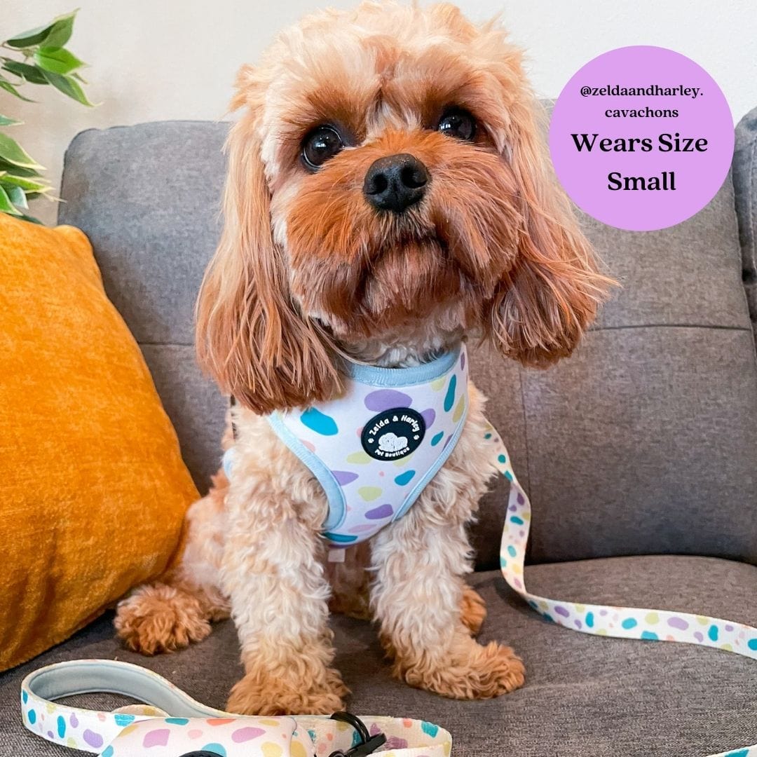 Zelda & Harley Harness Pastel Showers Reversible Harness