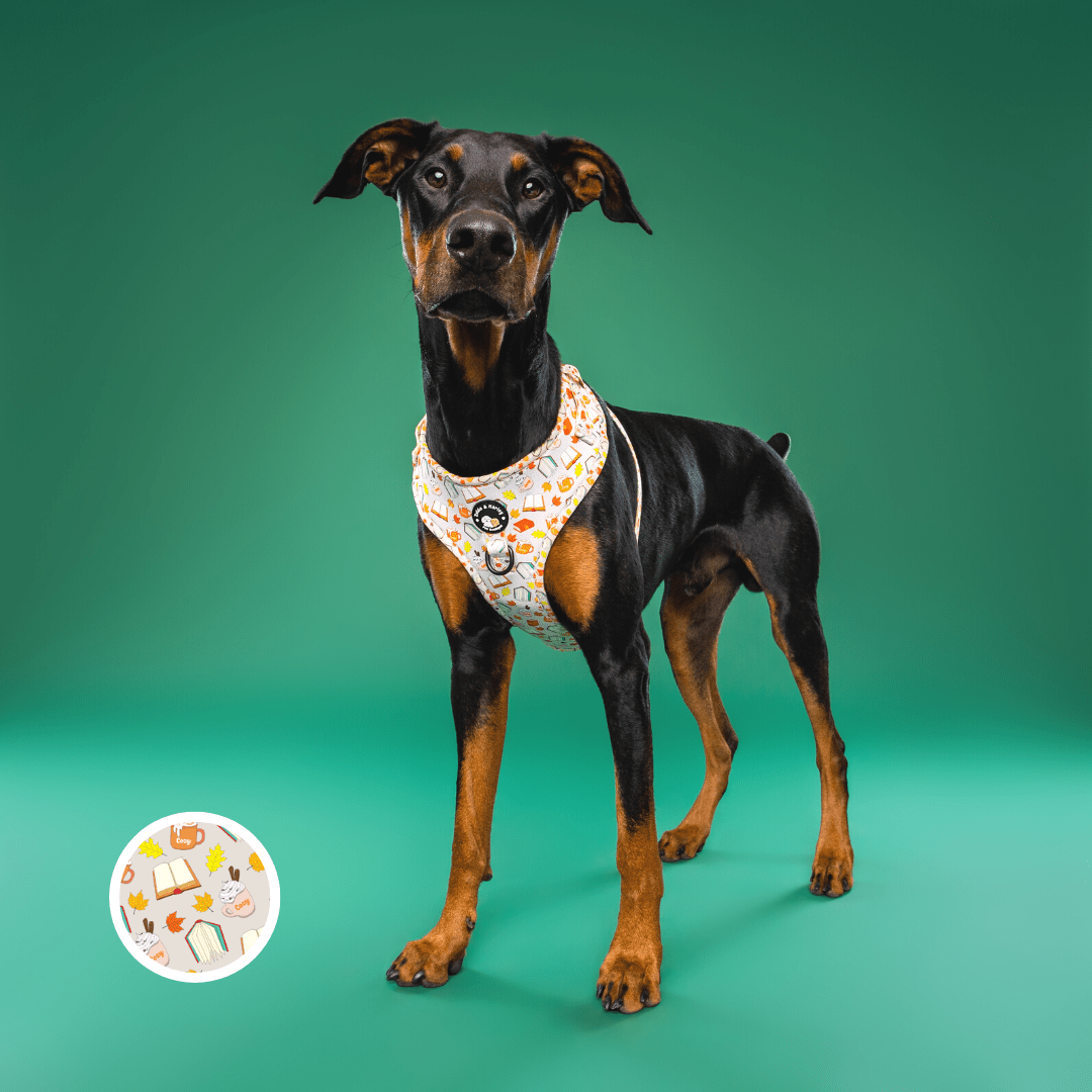 Zelda & Harley Harness Pawtumn Paws - No Pull Adjustable Dog Harness