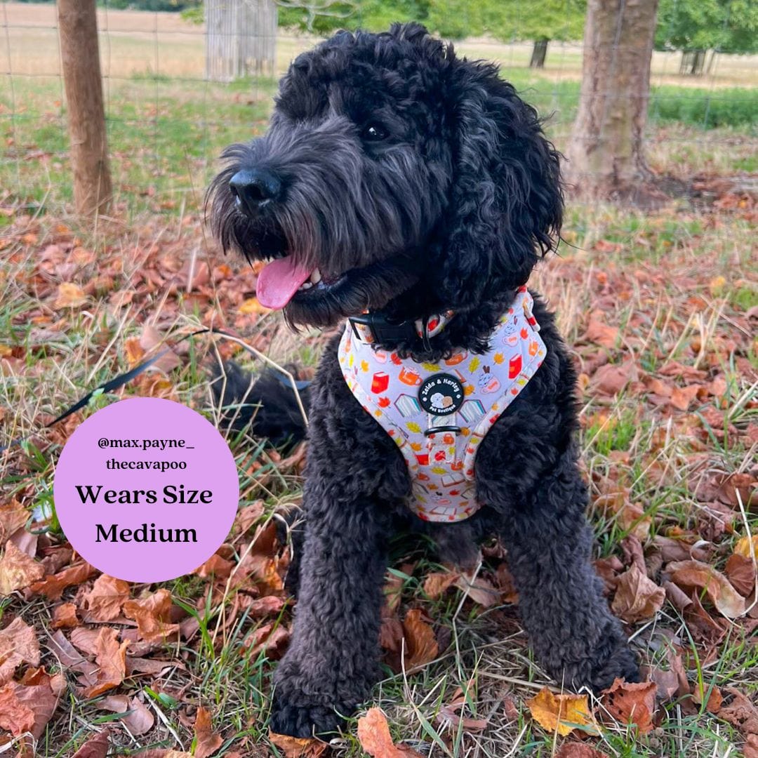 Zelda & Harley Harness Pawtumn Paws - No Pull Adjustable Dog Harness