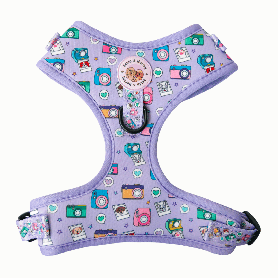 Puparazzi No Pull Adjustable Dog Harness The Dog Mom Store
