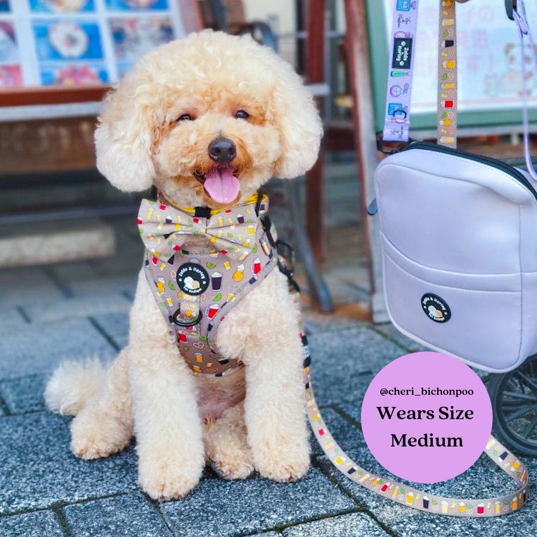 Zelda & Harley Harness Puptober Fest - No Pull Adjustable Dog Harness