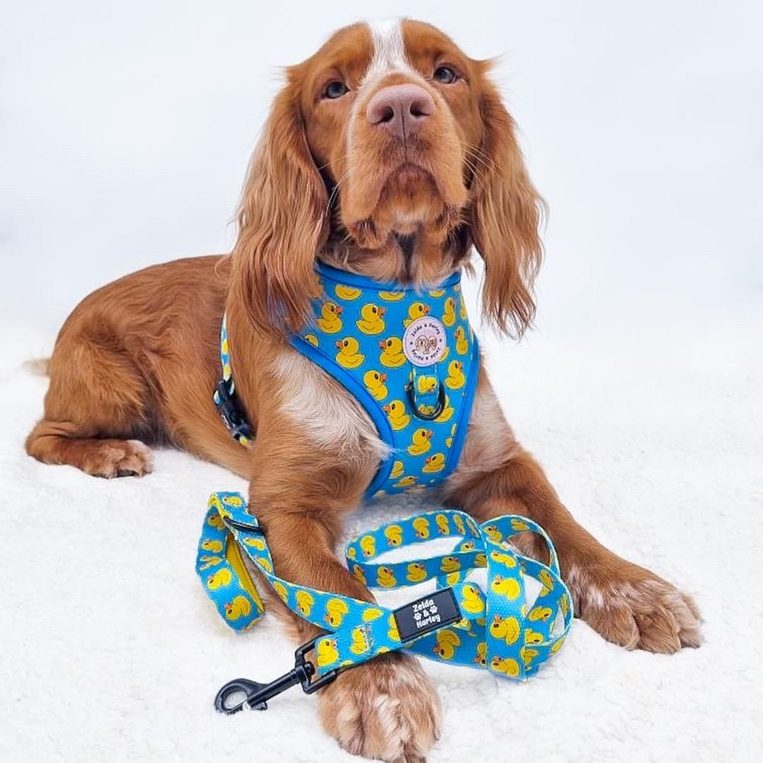 Zelda & Harley Harness Rubber Duckie - No Pull Adjustable Dog Harness