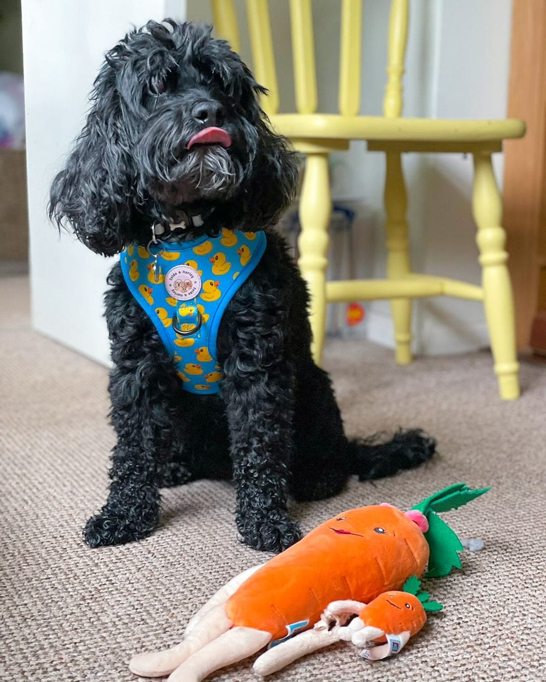 Zelda & Harley Harness Rubber Duckie - No Pull Adjustable Dog Harness