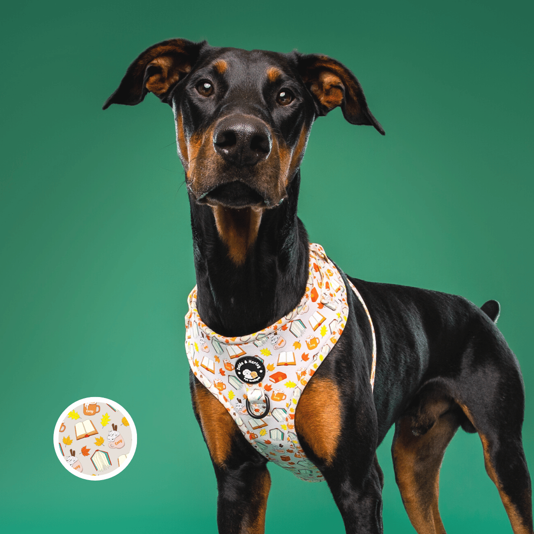 Zelda & Harley Harness XS Pawtumn Paws - No Pull Adjustable Dog Harness