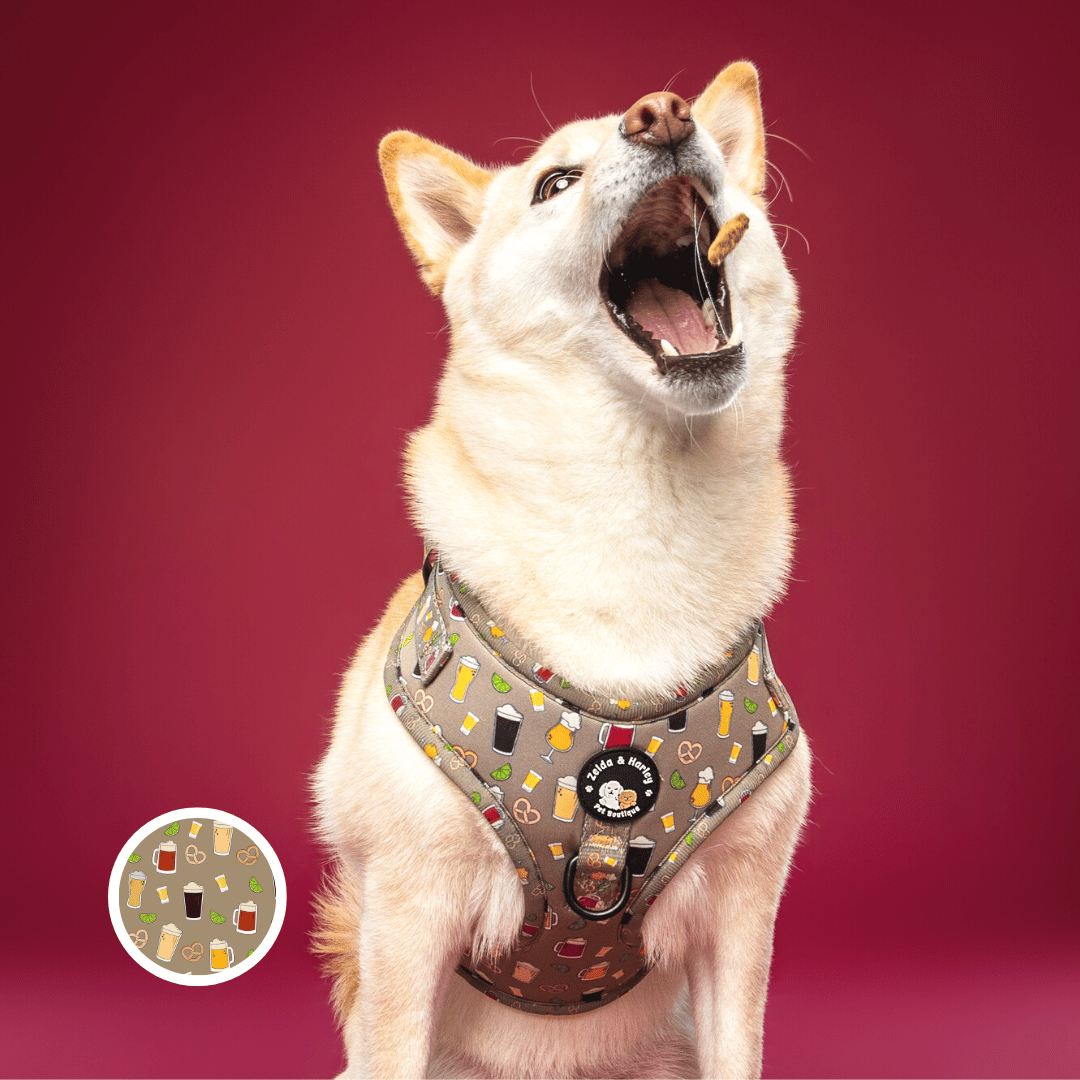 Zelda & Harley Harness XS Puptober Fest - No Pull Adjustable Dog Harness