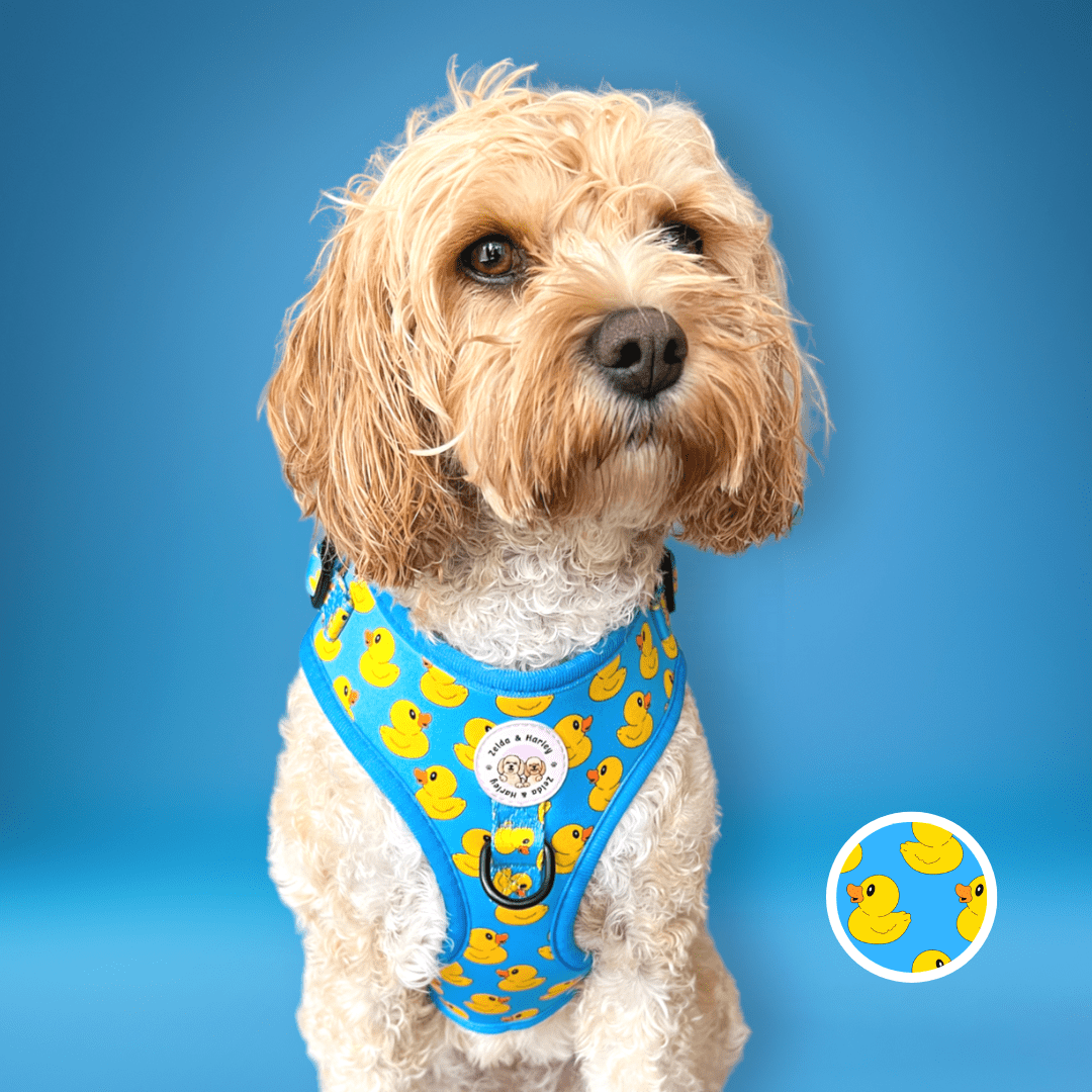 Zelda & Harley Harness XS Rubber Duckie - No Pull Adjustable Dog Harness