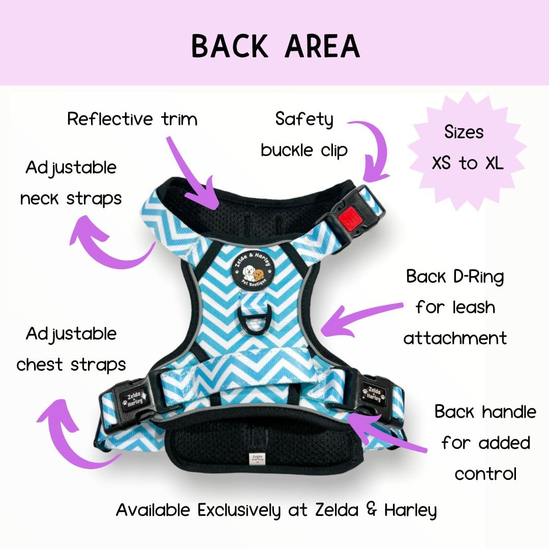 Zelda & Harley Harness Zig Zag Wag Pastel Blue- Adventure No Pull Harness