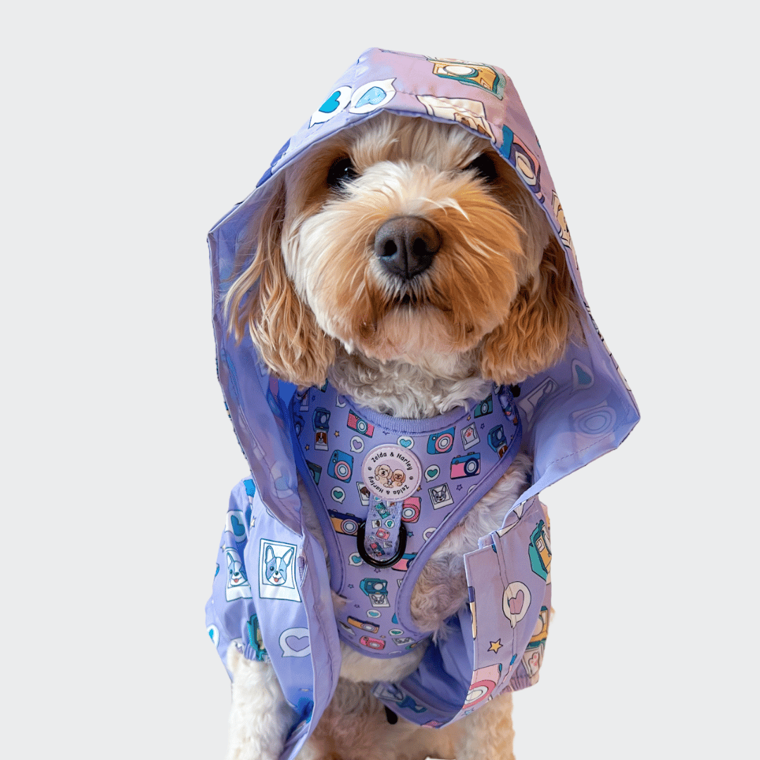 Zelda & Harley Raincoat Puparazzi Reversible Raincoat