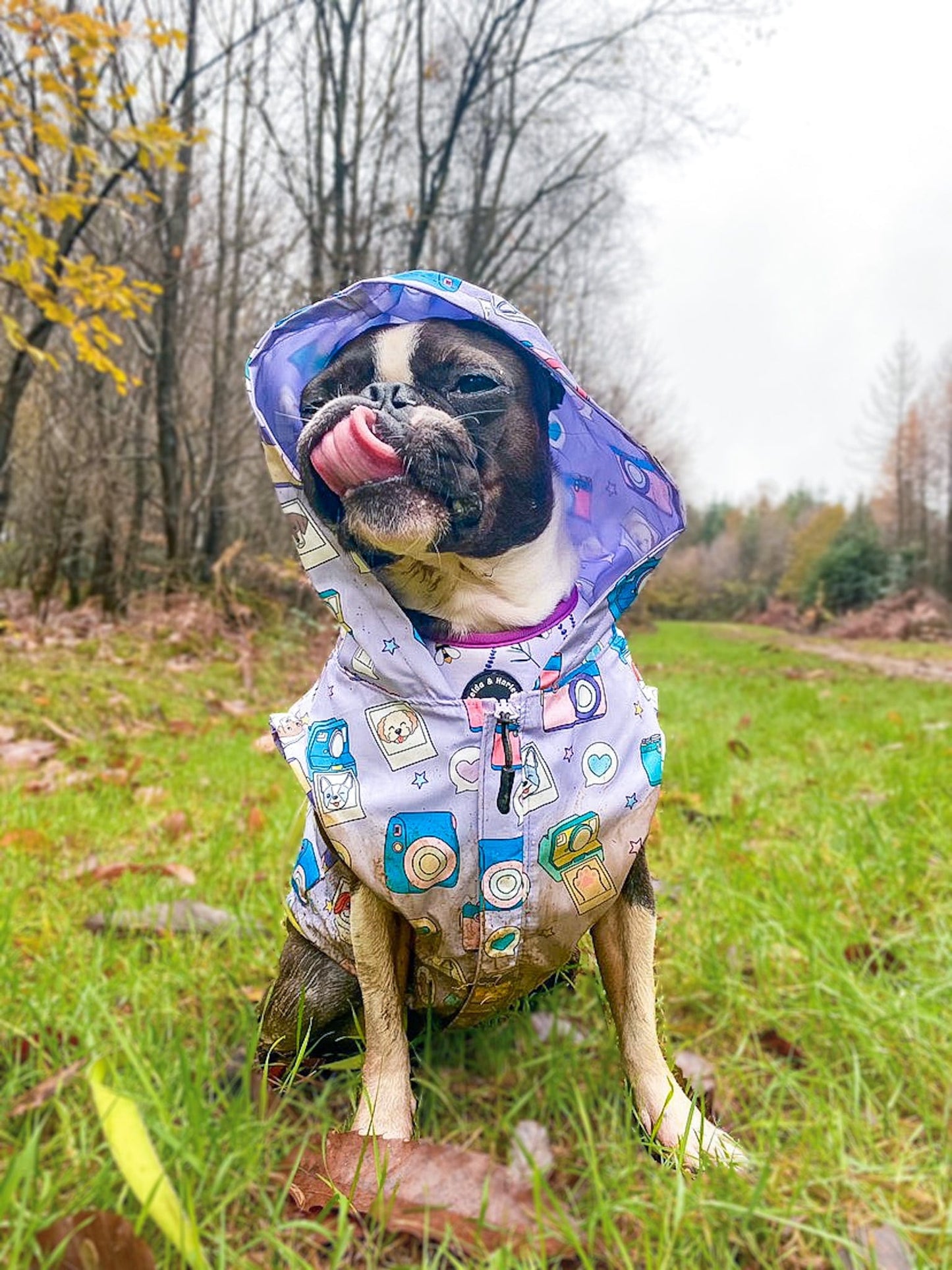 Zelda & Harley Raincoat Puparazzi Reversible Raincoat