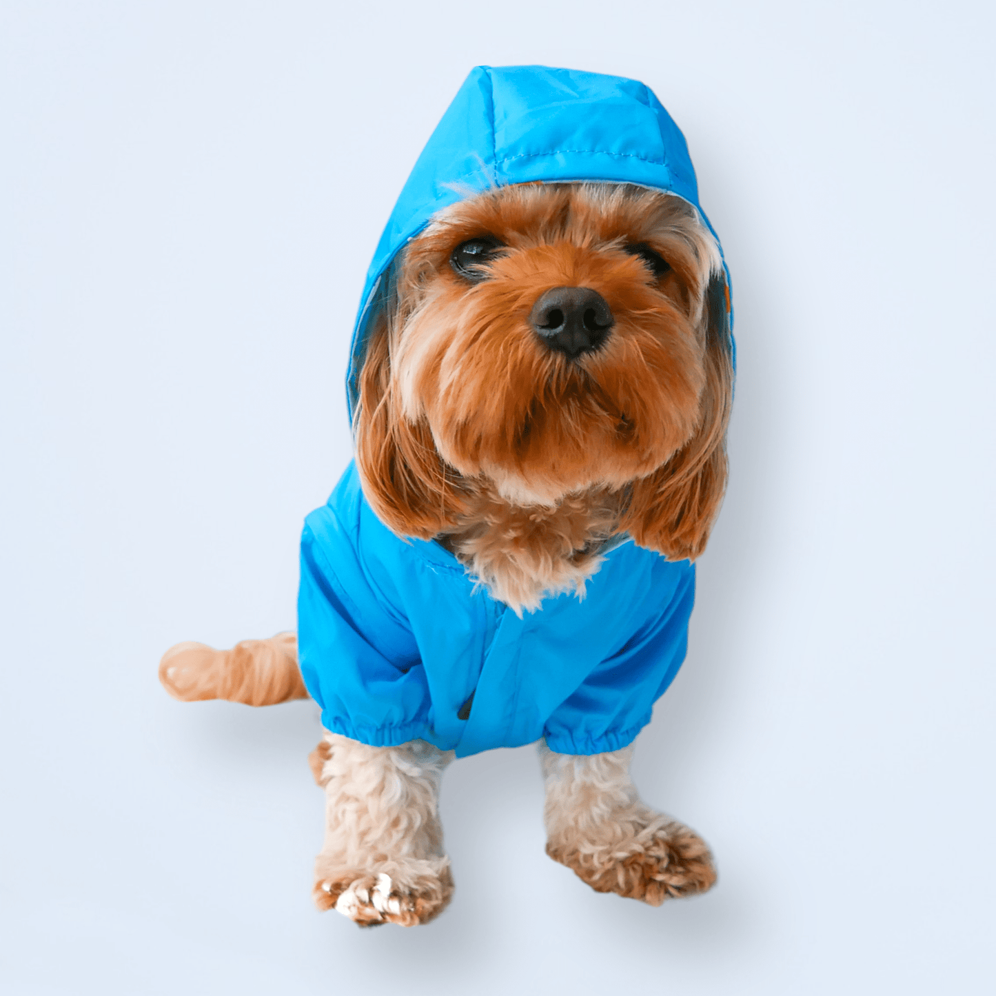 Zelda & Harley Raincoat Showers Reversible Raincoat
