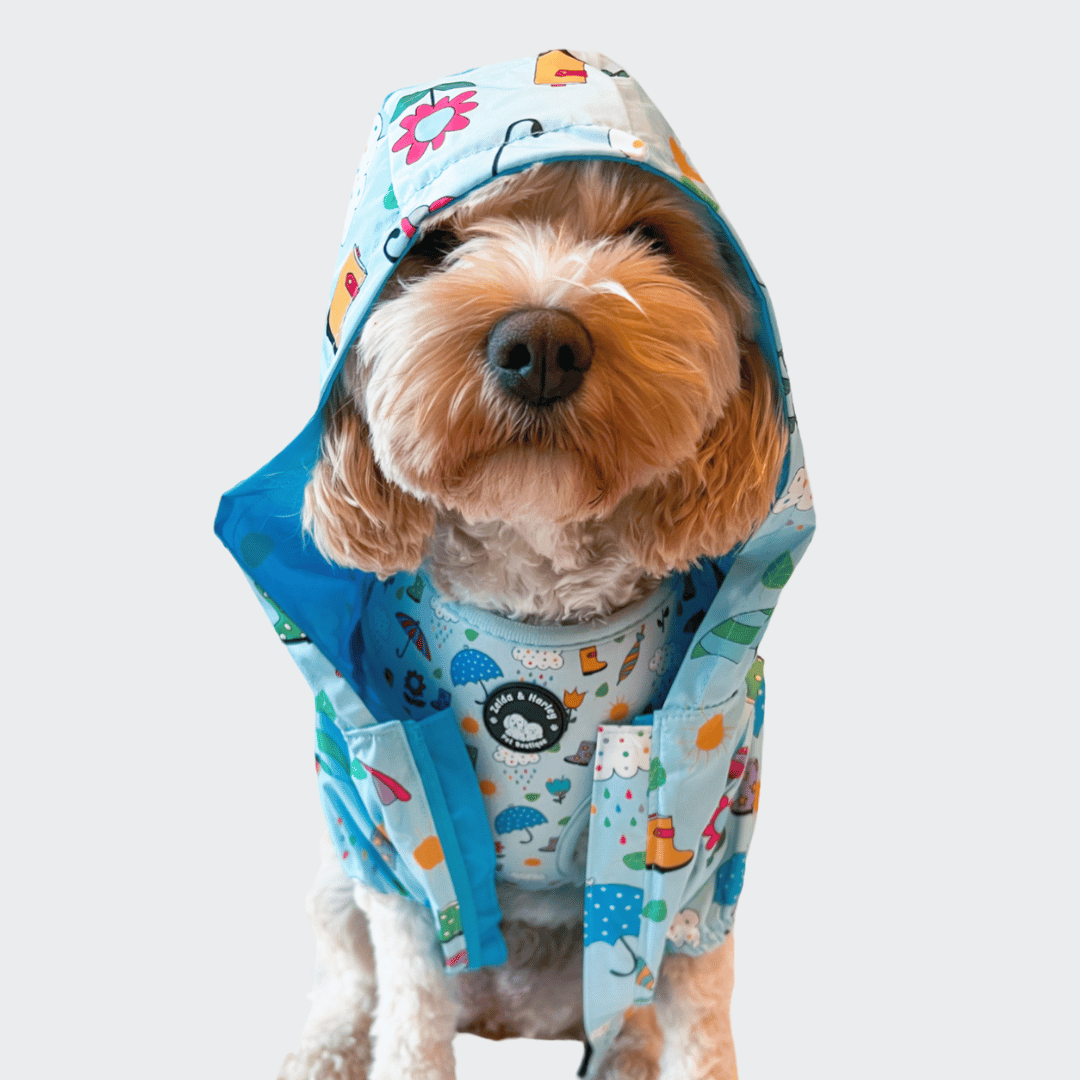 Zelda & Harley Raincoat Showers Reversible Raincoat