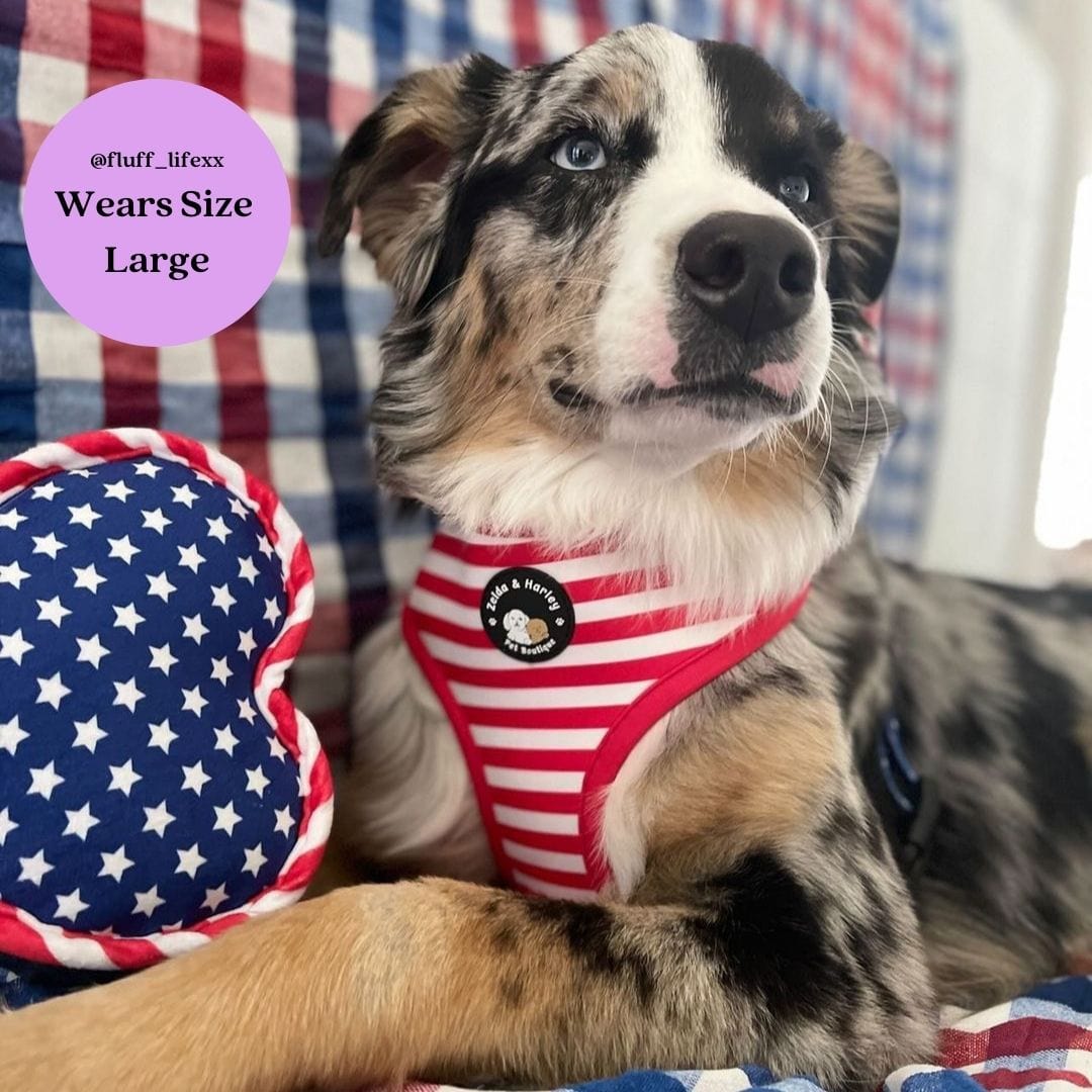 Zelda & Harley Reversible Harness Stars & Stripes - Reversible Dog Harness