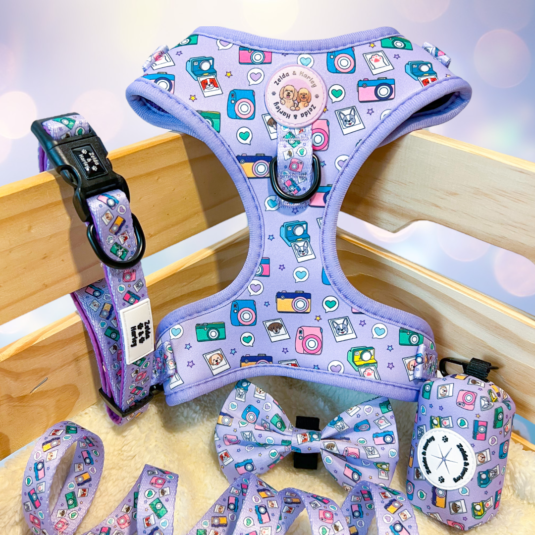 Puparazzi Dog Harness Collection