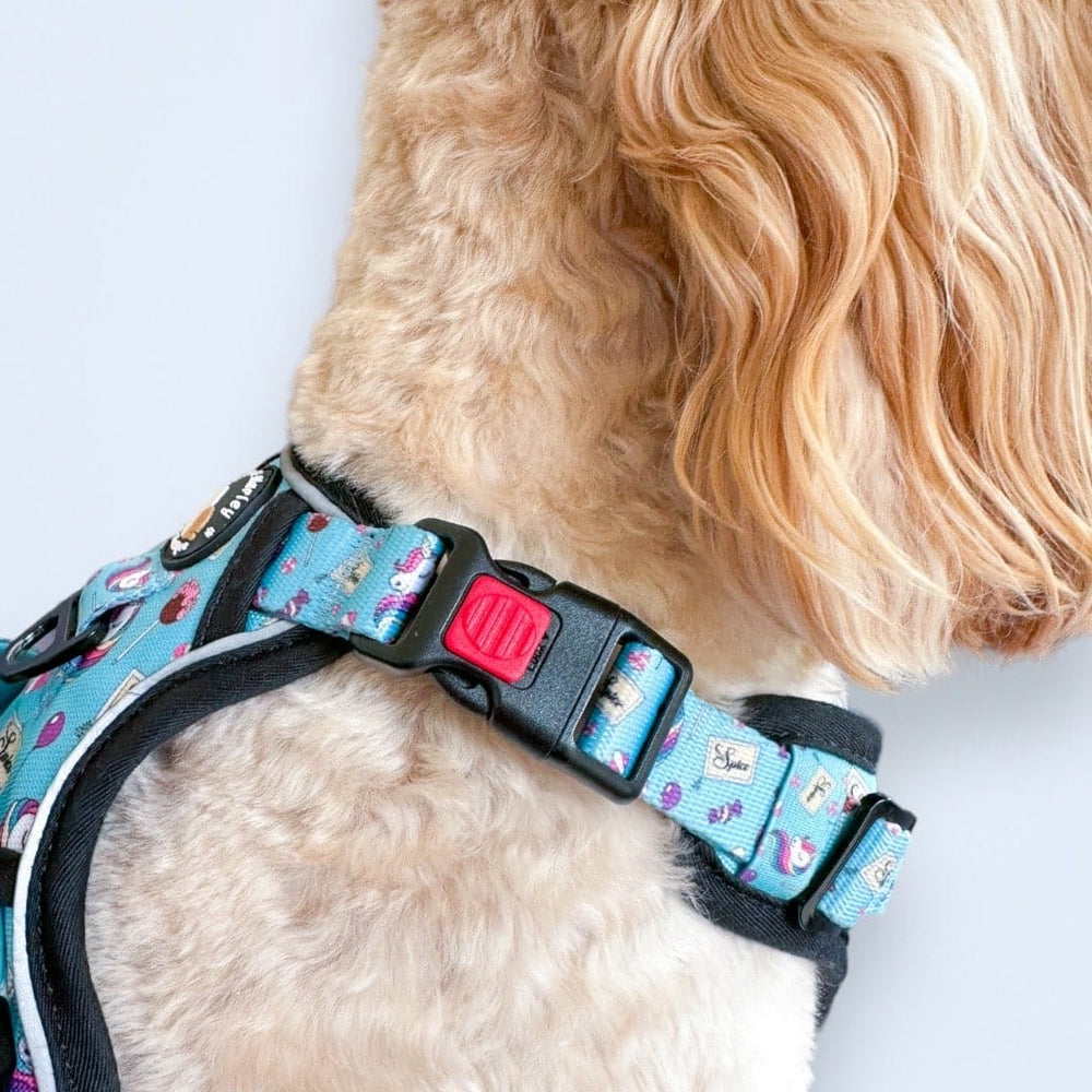 Rubber Duckie Blue Adventure No Pull Harness The Dog Mom Store.