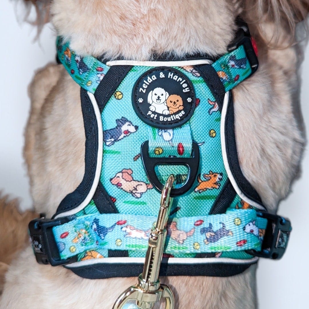 Up Pup & Away - Adventure No Pull Harness – The Dog Mom Store.