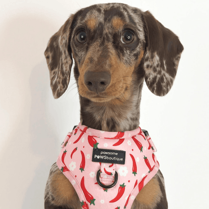 Pawsome Paws Boutique Harness Chilli Dog - No Pull Adjustable Dog Harness