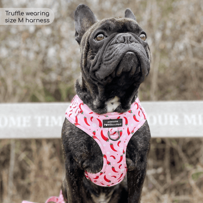 Pawsome Paws Boutique Harness Chilli Dog - No Pull Adjustable Dog Harness