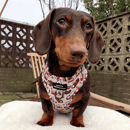 Pawsome Paws Boutique Harness Chocoholic - No Pull Adjustable Dog Harness