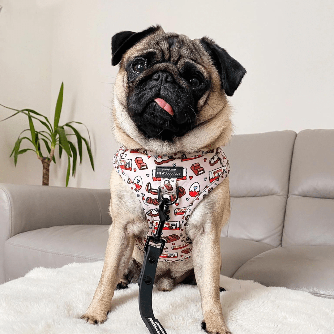 Pawsome Paws Boutique Harness Chocoholic - No Pull Adjustable Dog Harness