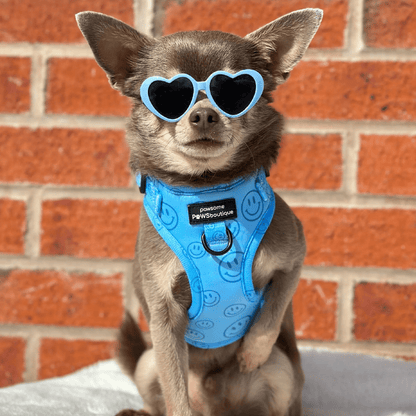 Pawsome Paws Boutique Harness No Blue Mood - No Pull Adjustable Dog Harness