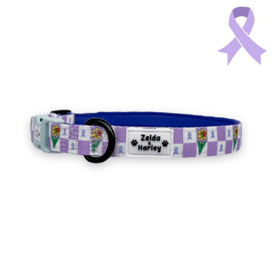 Zelda & Harley Collar Paws for a Cause Collar