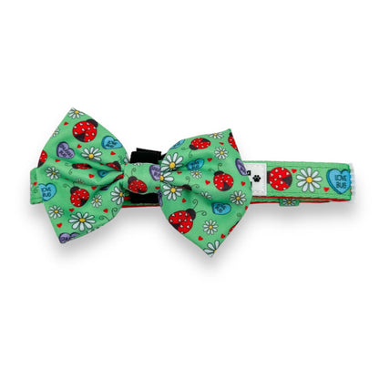 Zelda & Harley Collar Snuggle Bug Collar & Free Bow Tie - Blue