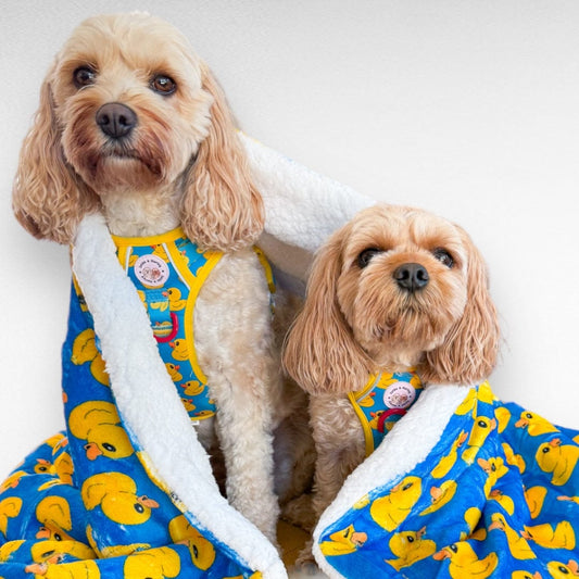Zelda & Harley Dog Blanket Rubber Duckie Blue Dog Blanket
