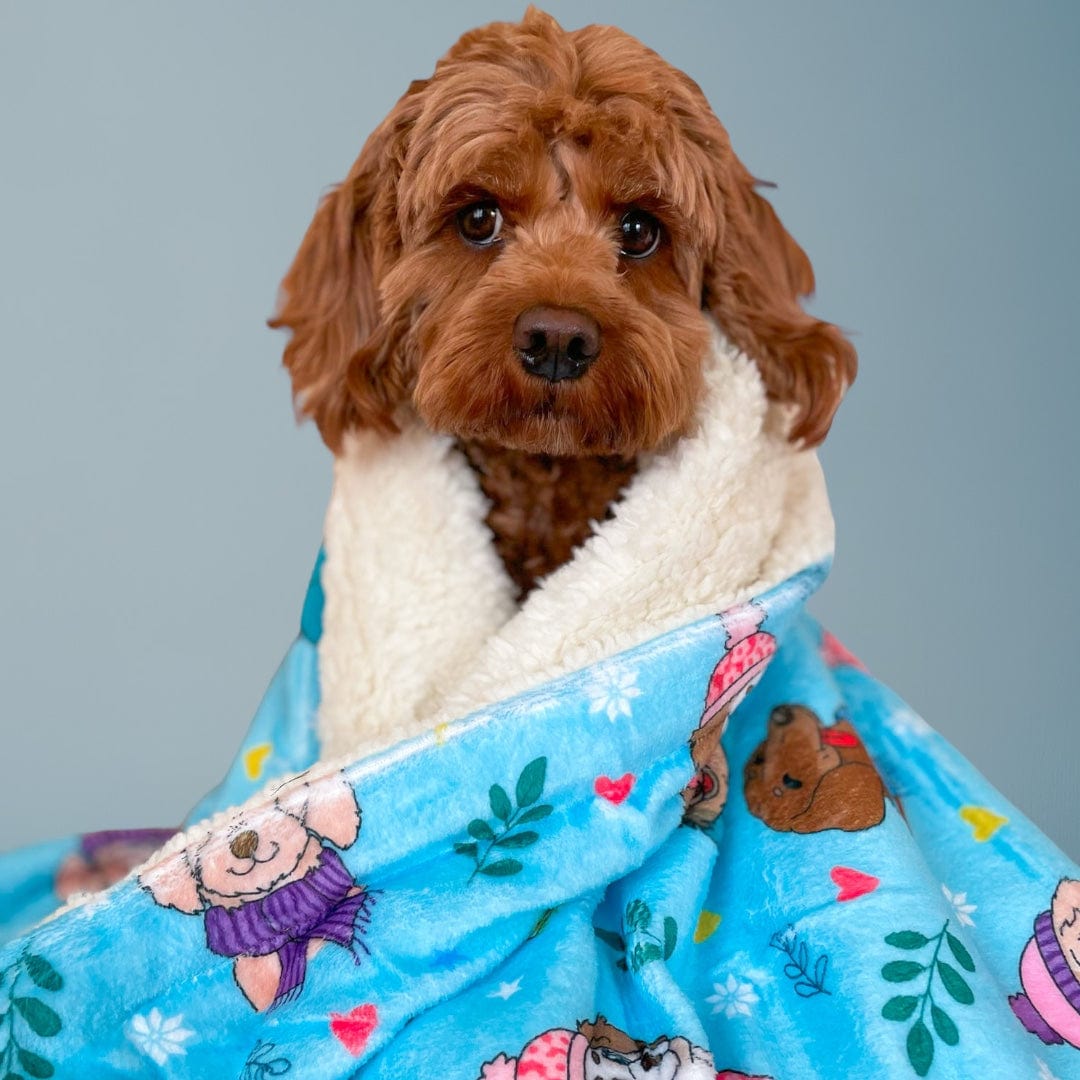 Zelda & Harley Dog Blanket Snow Pawtrol Dog Blanket