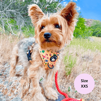 Monogram Dog Harness – Barknpup